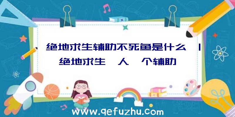 「绝地求生辅助不死鱼是什么」|绝地求生一人一个辅助